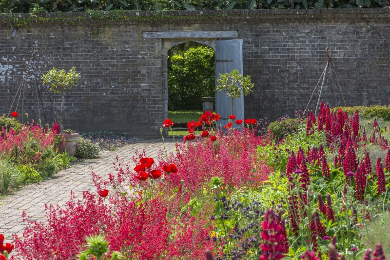 Athelhampton House Gardens